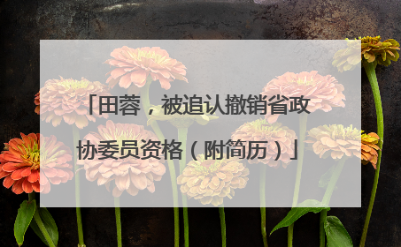 田蓉，被追认撤销省政协委员资格（附简历）